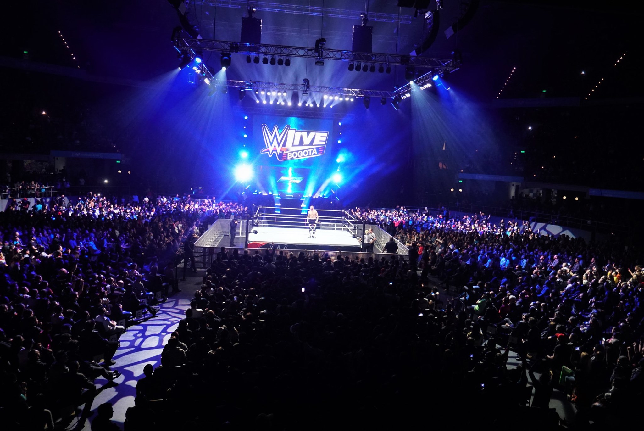 WWE 15