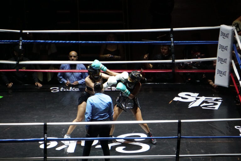STREAM FIGHTERS 2 3