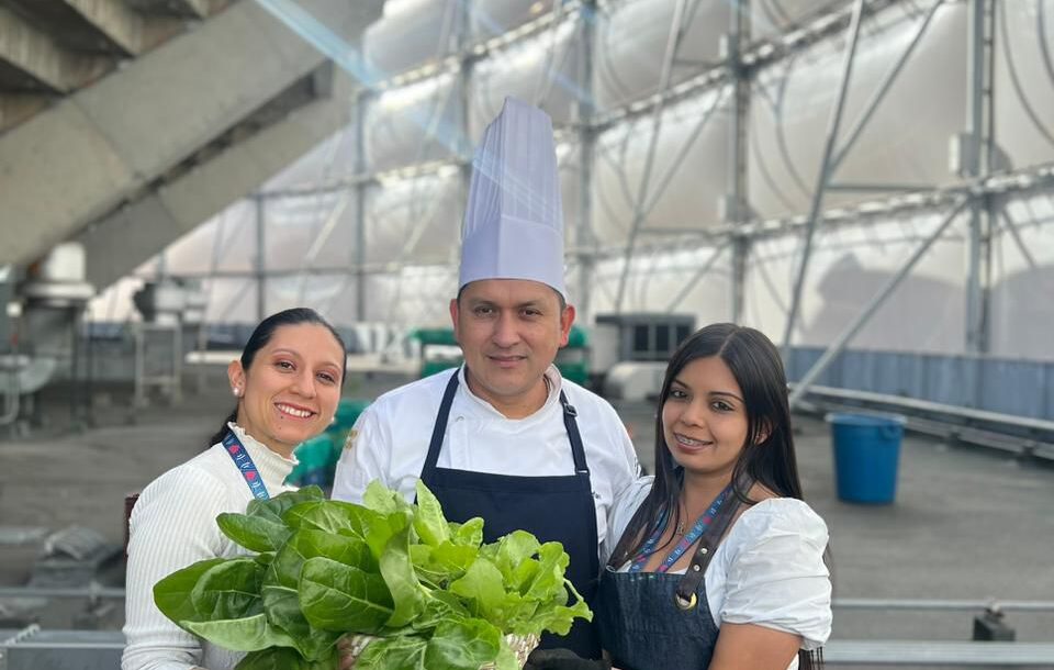 Huerta urbana en el Corazón de Bogotá, un camino hacia una producción saludable y limpia