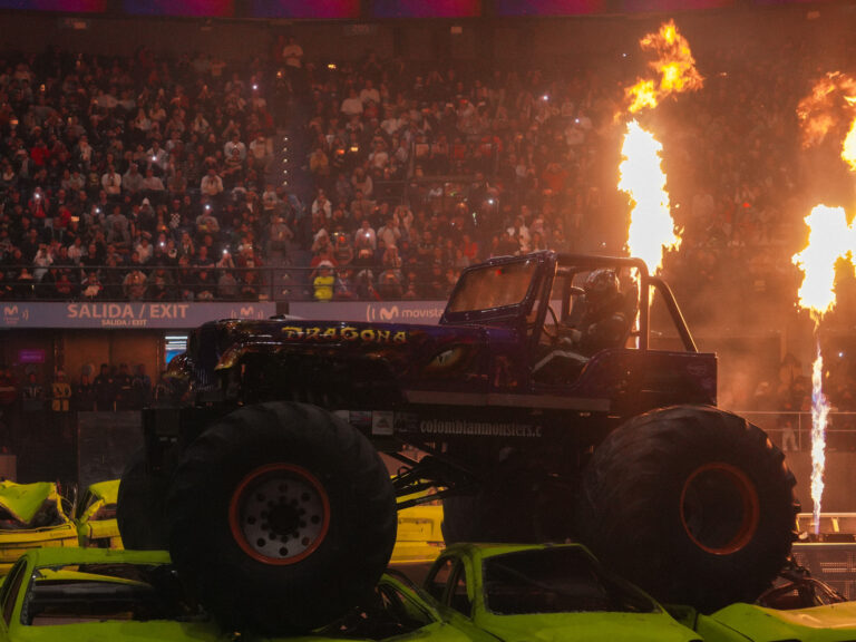 MONSTER TRUCK 33