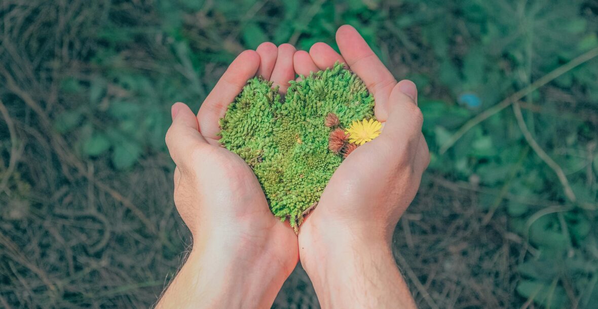 Día Mundial del Medio Ambiente: Un latido para proteger nuestro planeta