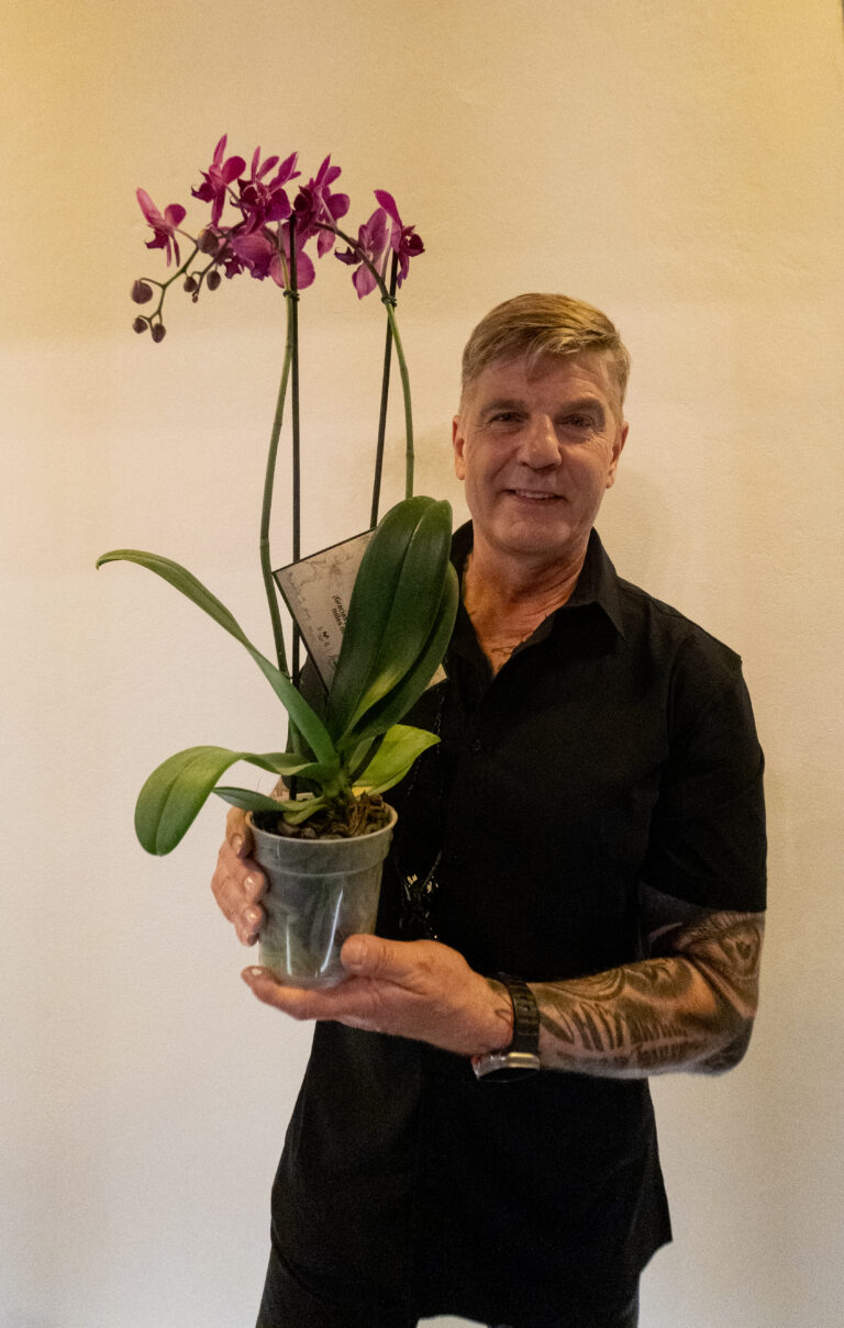 VILMA PALMA E VAMPIROS 5