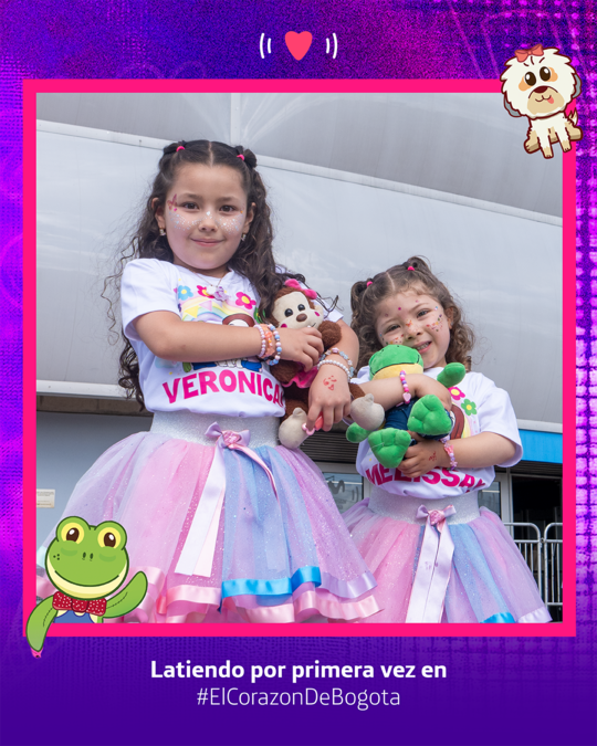 Borrador automático 598